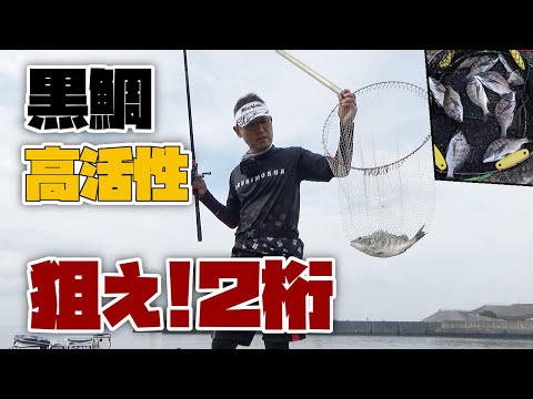 【紀州釣り】黒鯛高活性の釣り場へ！２桁超えなるか？【黒鯛釣り】【釣武者】