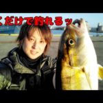 巻くだけで青物が超簡単に釣れる最高のルアーを見つけた！