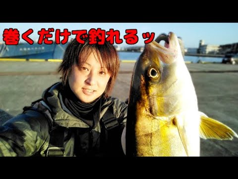 巻くだけで青物が超簡単に釣れる最高のルアーを見つけた！