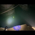 【ライブ】週末の夜釣り【目標アジ20匹】