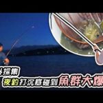 【跟我去釣魚】夜間採集 夜釣打沉底竟然碰到大咬! 野生的烏魚能取出烏魚子嗎? 【夜のボラ釣りでカラスミは取れる？】