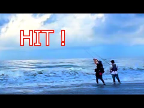 【釣り】サーフで魚を釣りまくる！ヒラメ・キス・青物etc【ルアー・サビキ・エサなんでも有り】