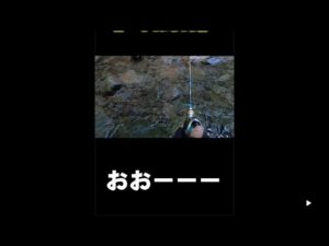 【渓流釣り】良型ヤマメヒット！