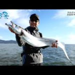 【釣り百景】#453 ドラゴンサイズ連発！ 三陸沖テンヤタチウオ