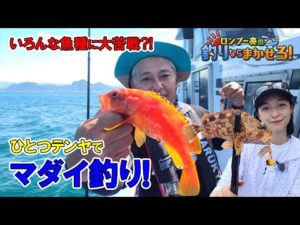ひとつテンヤでマダイ釣り！駿河湾であの魚に大苦戦？！【ロンブー亮の釣りまか#95】