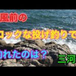 台風前のロックな投げ釣りで釣れたのは？三河湾