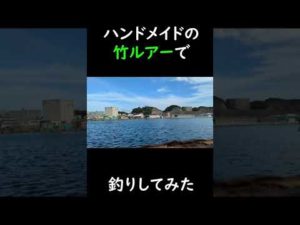 竹のルアーで釣りしてみた！　#shorts