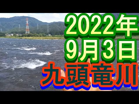 鮎釣り 40㎝高 北島鮎大橋下 九頭竜川  2022年