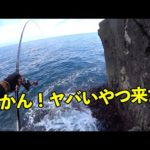 フカセ釣りの勘が鈍りまくった男に巨大口太グレが襲いかかる！[沼島 下立神]