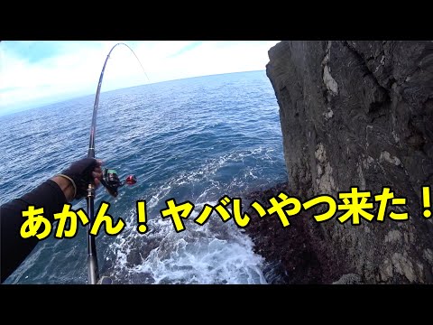 フカセ釣りの勘が鈍りまくった男に巨大口太グレが襲いかかる！[沼島 下立神]