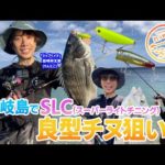 【釣り時季】壱岐島でSLC!（スーパーライトチニング）良型チヌ狙い！