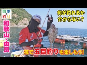 何が釣れるか分からない？筏で五目釣りを楽しもう！（四季の釣り/2022年8月19日放送）