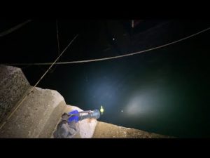 【LIVE】アジ釣りからの泳がせてスズキ釣るだけのライブ