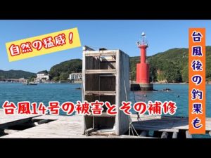 【筏釣り 海香】これぞ自然の猛威!台風後の釣果状況も‼︎