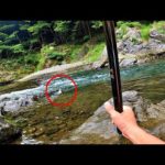 多摩川で秋の渓流釣り！最大魚を更新した日。