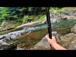多摩川で秋の渓流釣り！最大魚を更新した日。