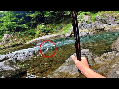 多摩川で秋の渓流釣り!最大魚を更新した日。