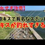 【３０cm越えの鉄砲キス狙い！由良川で投げ釣り】第12回ふぐ名人のダーツの釣り！【第2話】