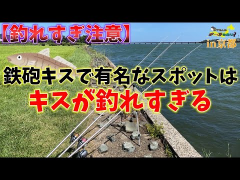 【３０cm越えの鉄砲キス狙い！由良川で投げ釣り】第12回ふぐ名人のダーツの釣り！【第2話】