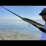 琵琶湖バス釣りライブR４-9/26