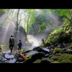 知らない人について行ったら岩魚湧いてた【渓流釣り】