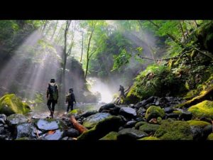 知らない人について行ったら岩魚湧いてた【渓流釣り】