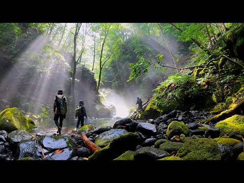 知らない人について行ったら岩魚湧いてた【渓流釣り】