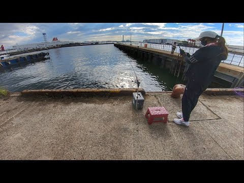 近くの港でフカセ釣りしてみた。