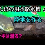 ウナギの行動はコレで制限できる…？【田んぼアクアテラリウムその２】