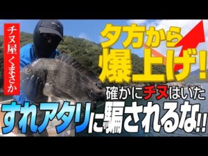 【チヌ屋くまさか】かかり釣りで愛媛県北灘湾を解説！ポイント「梅ちゃん」を攻略なるか？宇和島はやっぱり黒鯛の宝庫でした。