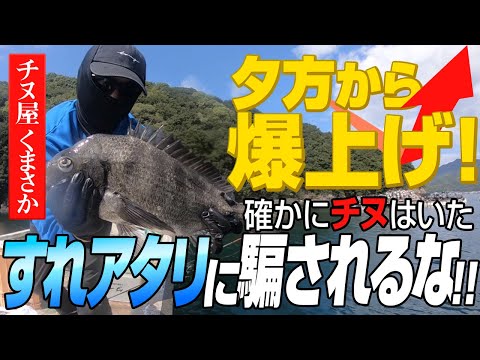 【チヌ屋くまさか】かかり釣りで愛媛県北灘湾を解説！ポイント「梅ちゃん」を攻略なるか？宇和島はやっぱり黒鯛の宝庫でした。