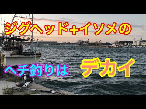 ジグヘッド+イソメのヘチ釣りはデカイ 知多半島