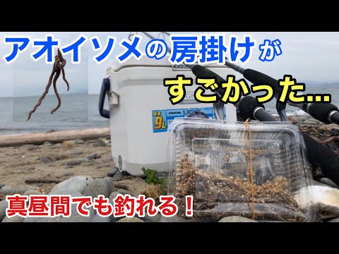 「アオイソメの房掛け」でぶっこみ釣りをしたら激アツな釣果だった…