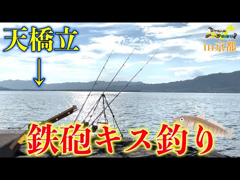 【天橋立で鉄砲キス釣り、キスや鯛、色々釣れる！】第12回ふぐ名人のダーツの釣り！【第3話】