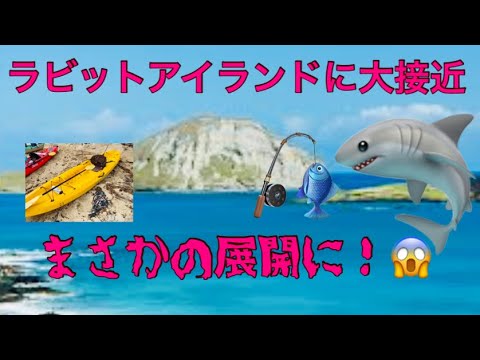[ハワイ]ラビットアイランドにて人生初のカイヤックで釣り！まさかのアクシデントに大奮闘！🤣#ハワイ#釣り#自然