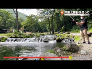 ガヤガヤ # 721 新東北笹谷渓流釣り②