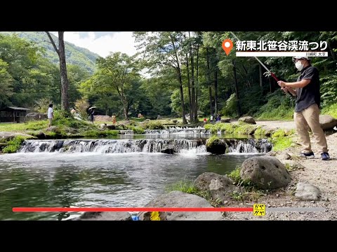 ガヤガヤ # 721 新東北笹谷渓流釣り②