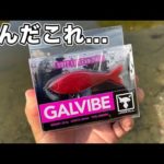 【バス釣り】ガルバイブ（ジャッカル）のインプレして使い方・メリット・デメリット検証してみた結果...【秋のバス釣り】【バイブレーション】【TNトリゴン】【TN80】【2022年新製品にあった？】