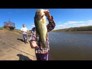 【茨城バス釣りポイント】破竹川で40アップを狙え！【バス釣り】