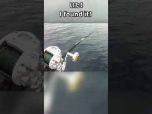 美味しい魚の珍しい釣り方?An unusual way to catch delicious fish? #shorts