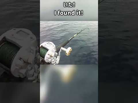 美味しい魚の珍しい釣り方？An unusual way to catch delicious fish?　#shorts