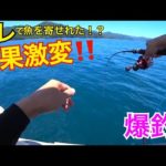 【筏釣り】とにかく爆釣！！休む暇なし！！