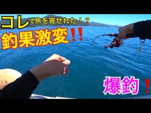 【筏釣り】とにかく爆釣！！休む暇なし！！