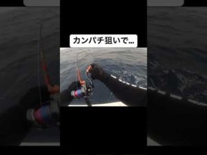 カンパチ狙いで…#ジギング #スロージギング #奄美釣り #釣り #奄美 #fishingtimes釣人