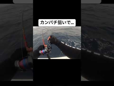カンパチ狙いで…#ジギング #スロージギング #奄美釣り #釣り #奄美 #fishingtimes釣人