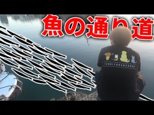 堤防の先にある魚の通り道で釣りをしてみたら・・・！？