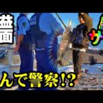 【鮭釣り】北海道警察？サケ・アキアジ・浮きルアー・浮きフカセ・日本海・夕マヅメ：2022年9月