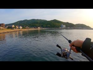 台風が去った湾内でルアーを投げまくってみると・・・