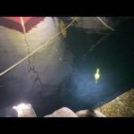 【ライブ】夜の港でアジ釣りするライブ