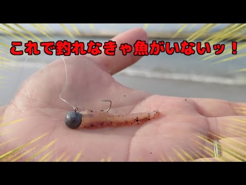 ジグヘッドにイカを付けると大物が簡単に釣れる魔法の仕掛けになる